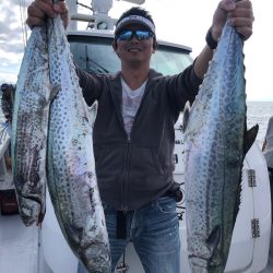 ビッグファイター 釣果