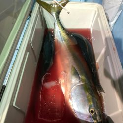 第二八坂丸 釣果