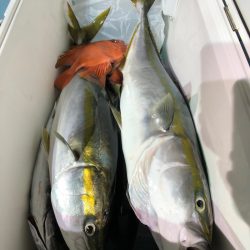 第二八坂丸 釣果