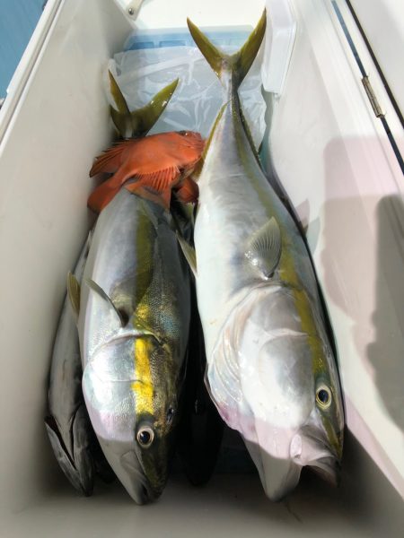 第二八坂丸 釣果