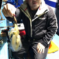 ヤザワ渡船 釣果