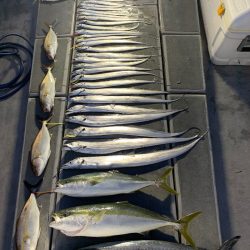 SeaRide(シーライド) 釣果