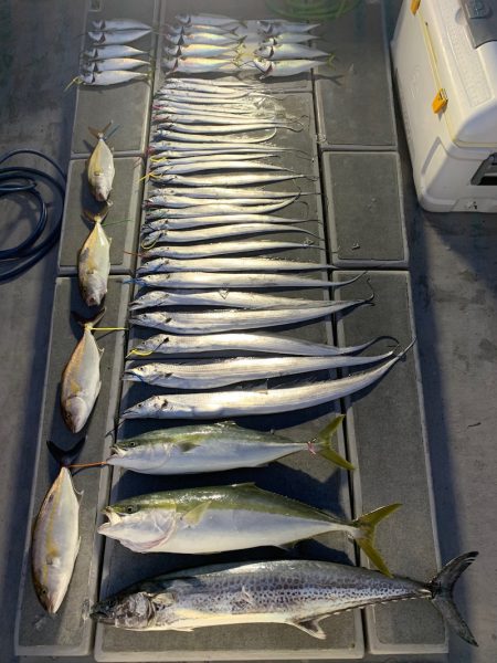 SeaRide(シーライド) 釣果