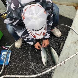 あみや渡船 JIGBOY 釣果