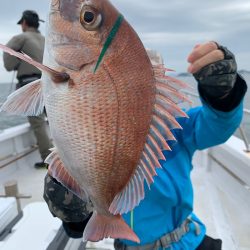 ランスルー 釣果