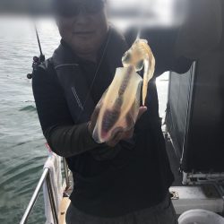 遊漁船メテオ 釣果