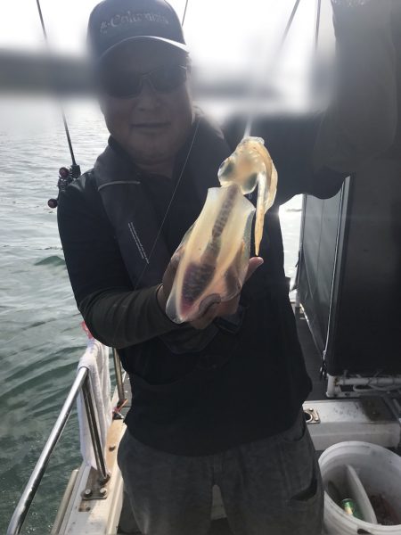 遊漁船メテオ 釣果