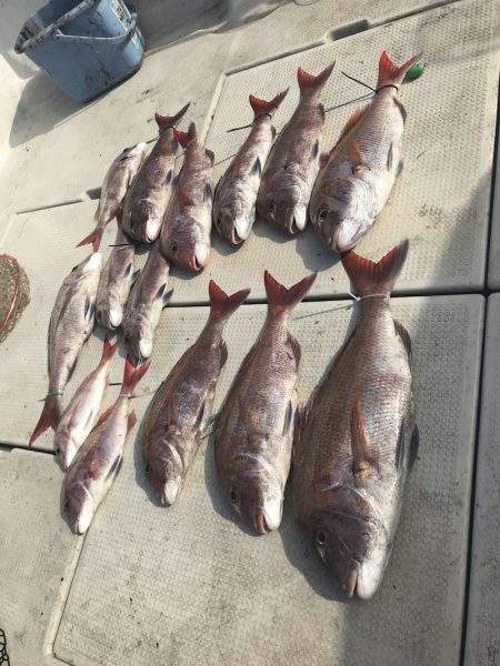 遊漁船メテオ 釣果