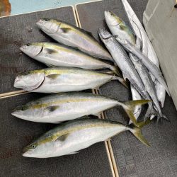 Monster Rush! 釣果