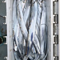 フィッシング キッタカ 釣果