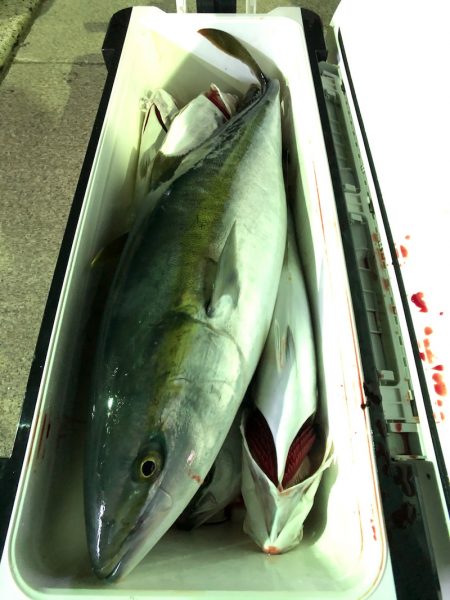 第二八坂丸 釣果