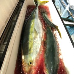 第二八坂丸 釣果