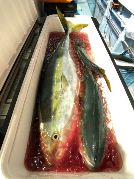 第二八坂丸 釣果