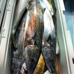 第二八坂丸 釣果