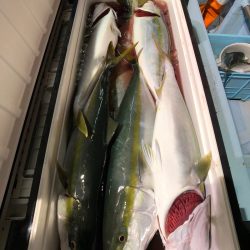 第二八坂丸 釣果