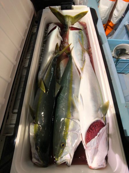 第二八坂丸 釣果