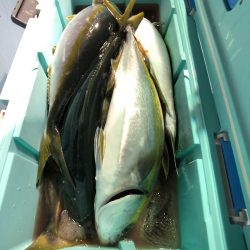 第二八坂丸 釣果