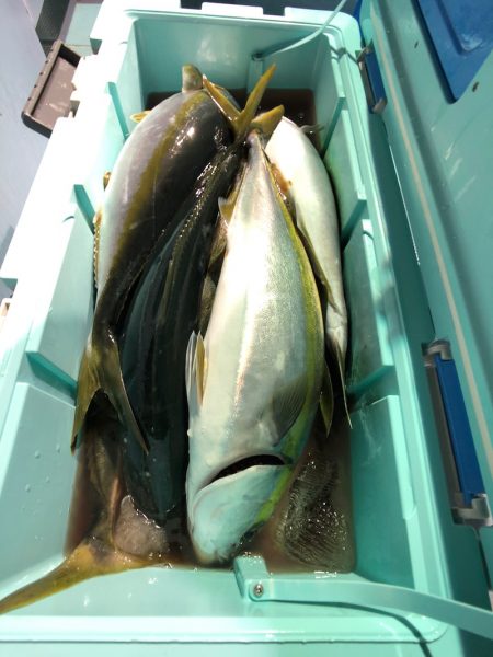 第二八坂丸 釣果