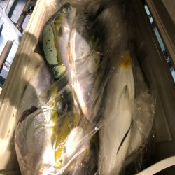 第二八坂丸 釣果