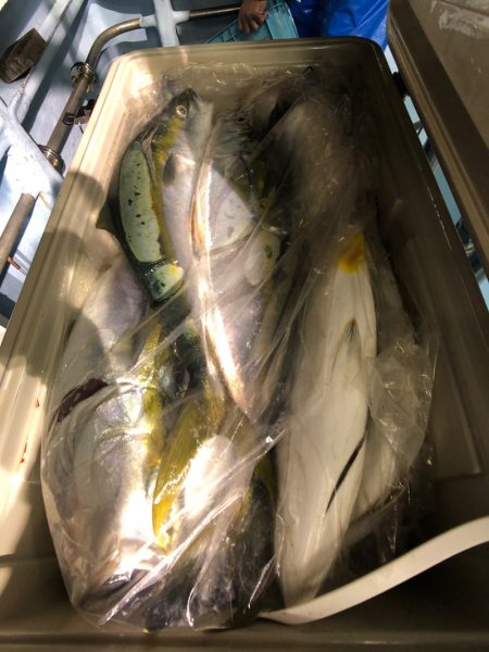 第二八坂丸 釣果