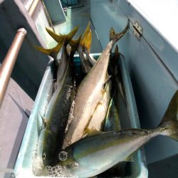 第二八坂丸 釣果