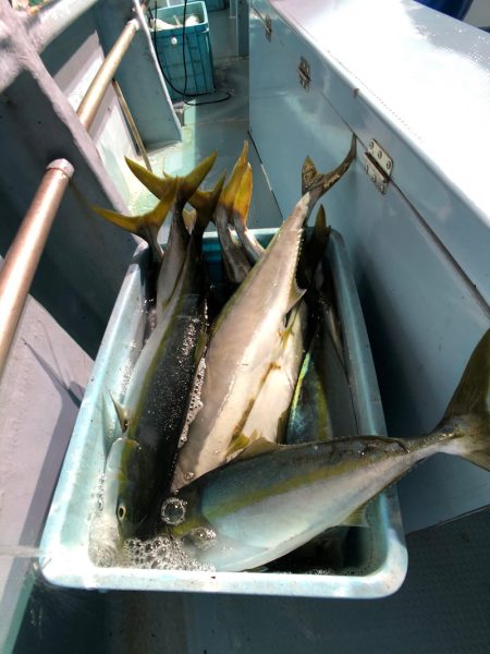 第二八坂丸 釣果