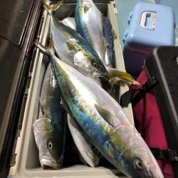 第二八坂丸 釣果