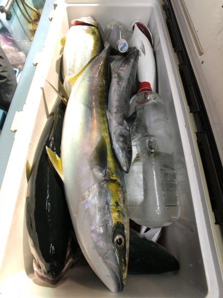 第二八坂丸 釣果