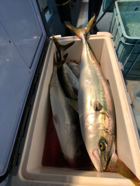 第二八坂丸 釣果