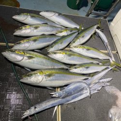 Monster Rush! 釣果