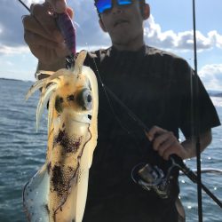 龍神丸(鹿児島) 釣果