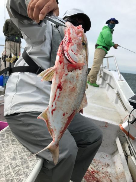 ランスルー 釣果