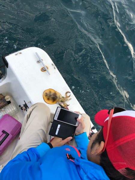 「LaGooN」蒼陽丸 日和号　 釣果