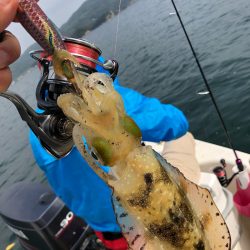 「LaGooN」蒼陽丸 日和号　 釣果