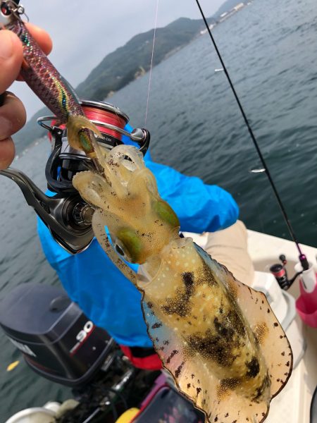 「LaGooN」蒼陽丸 日和号　 釣果