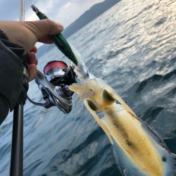 「LaGooN」蒼陽丸 日和号　 釣果