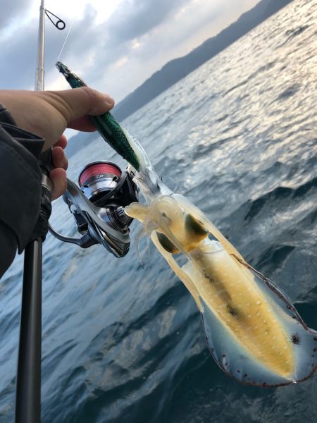 「LaGooN」蒼陽丸 日和号　 釣果