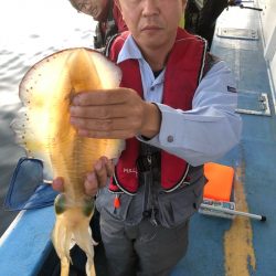 ヤザワ渡船 釣果