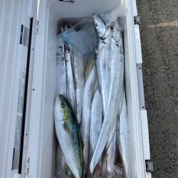 みやけ丸 釣果