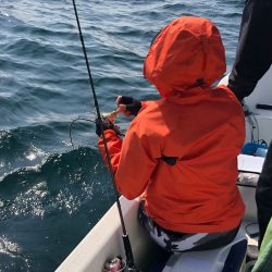 「LaGooN」蒼陽丸 日和号　 釣果