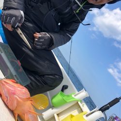 「LaGooN」蒼陽丸 日和号　 釣果