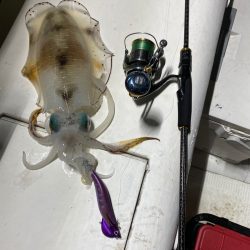 Monster Rush! 釣果