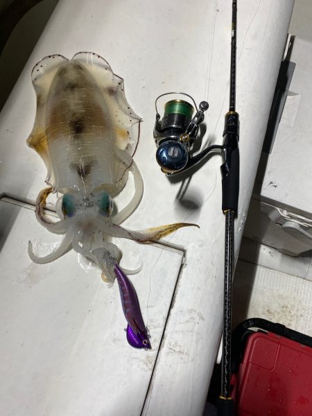 Monster Rush! 釣果