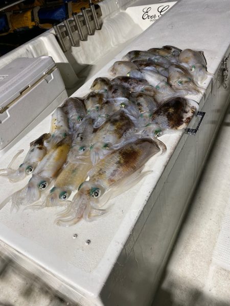 Monster Rush! 釣果