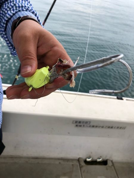 末広丸(熊本) 釣果