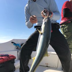 「LaGooN」蒼陽丸 日和号 釣果