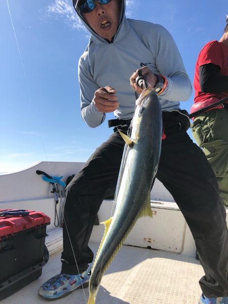 「LaGooN」蒼陽丸 日和号 釣果