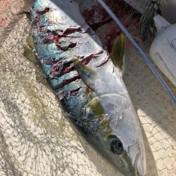 「LaGooN」蒼陽丸 日和号 釣果