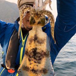 あみや渡船 JIGBOY 釣果