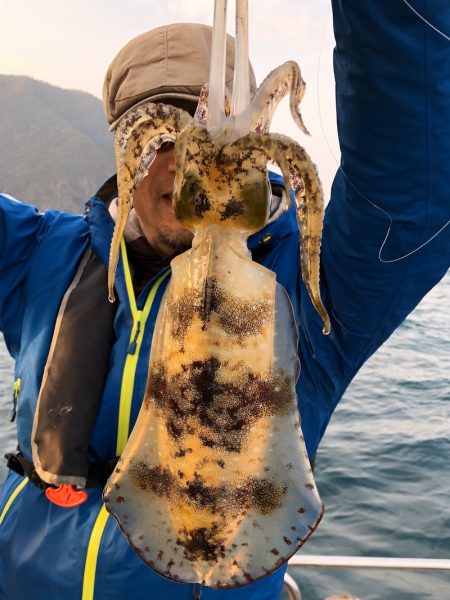 あみや渡船 JIGBOY 釣果